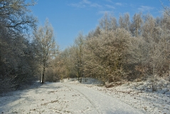 Winterwunderland