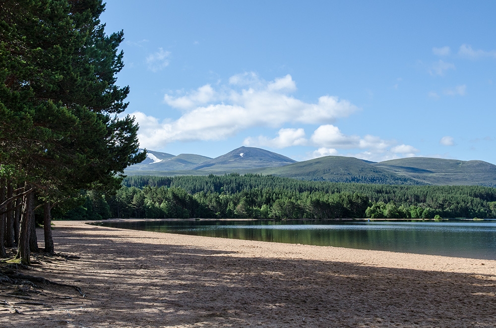 Loch Morlich, Glenmore