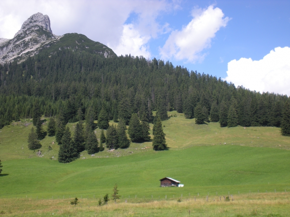 "Der Hundskopf" bei der Walderalm