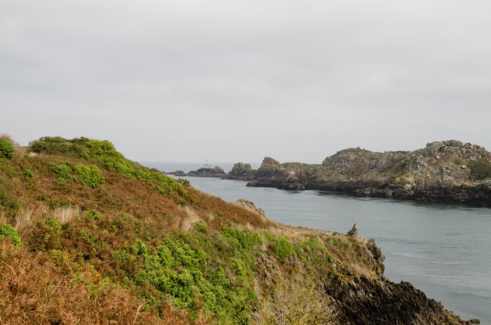 Vogelinsel l'île des Landes