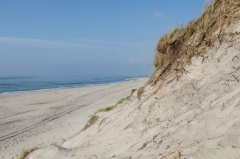 Strand in Vedersø Klit